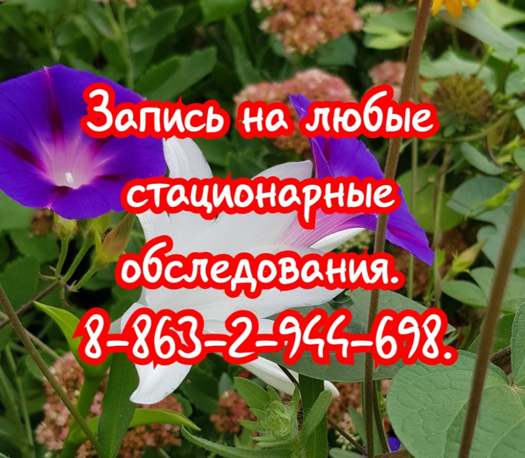 Гайдар Елена Николаевна. Пульмонолог
