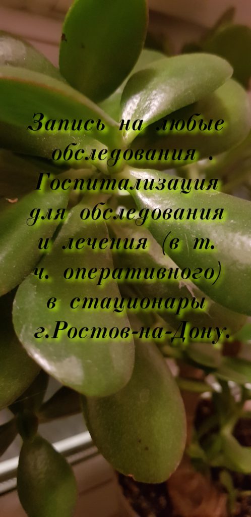 Людмила Алексеевна Сафроненко. К.М.Н. Детский инфекционист. Детский пульмонолог. Педиатр Ростов-на-Дону
