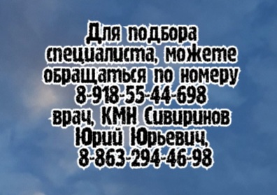 Ростов Скэнар - Шамараков П.П.