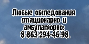 Ростов Скэнар - Шамараков П.П.
