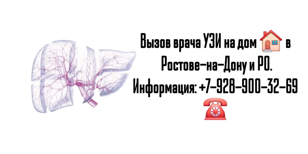 УЗИ печени на дому - Ростов-на-Дону