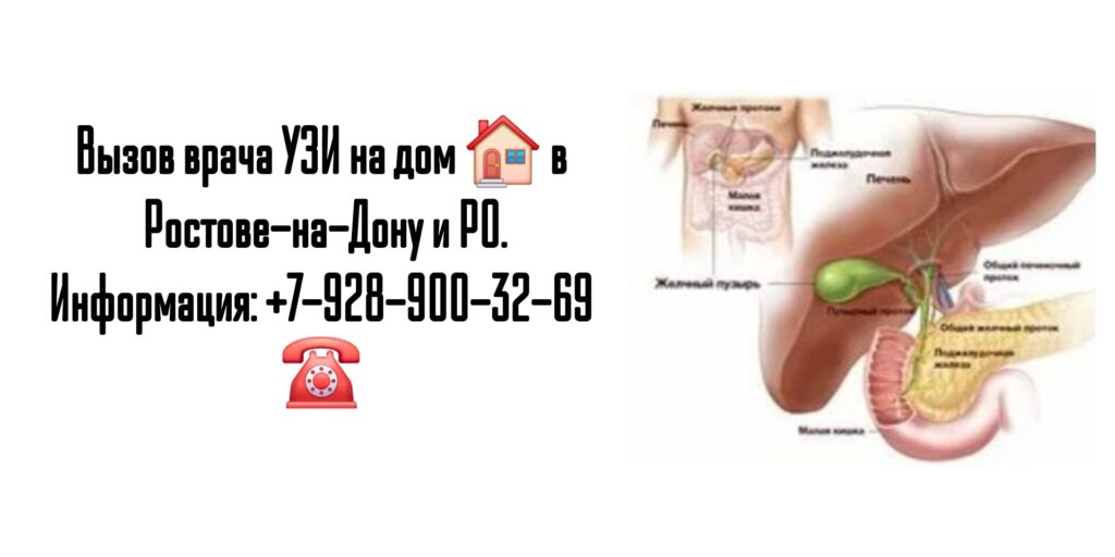 УЗИ печени на дому - Ростов-на-Дону
