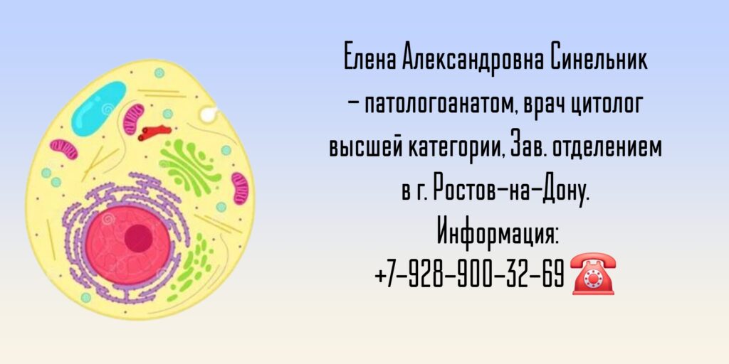 Синельник Елена Александровна - цитолог Ростов