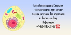 Синельник Елена Александровна - цитолог Ростов