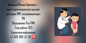 Виницкий Михаил Ефимович - врач оториноларинголог в Ростове-на-Дону