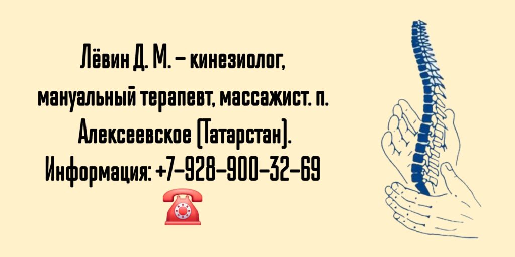 Лёвин Дмитрий Михайлович - мануальный терапевт Алексеевское (Татарстан)