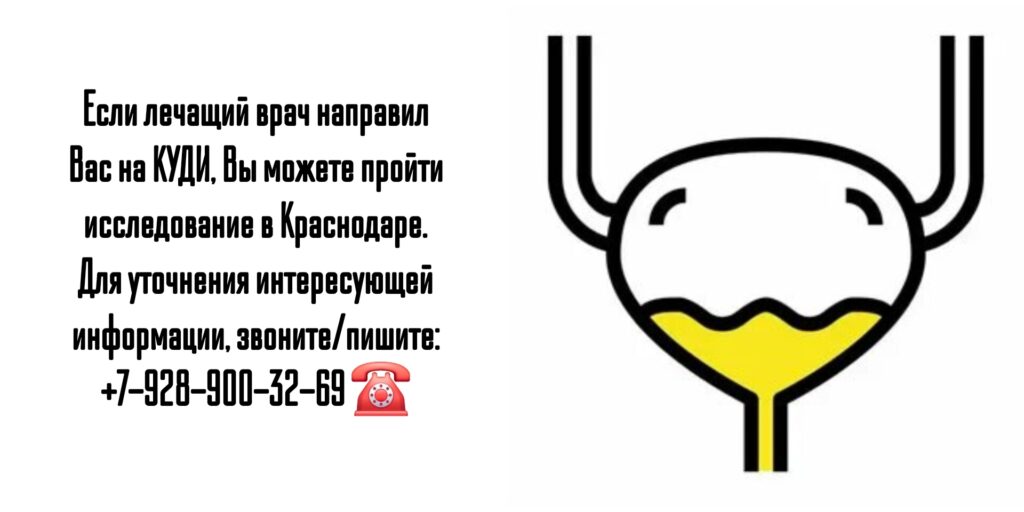 Шорников Павел Валентинович- Куди в Краснодаре